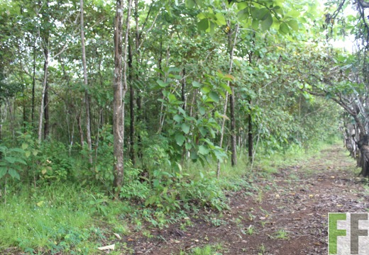 Finca El Espejo 2022