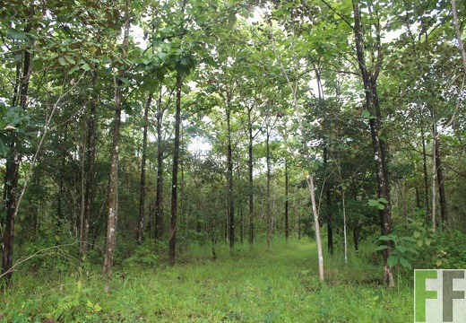 Finca El Espejo 2022