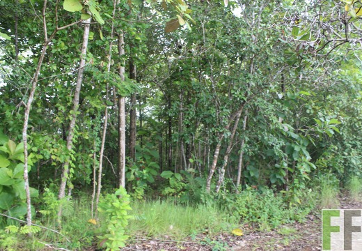 Finca El Espejo 2022