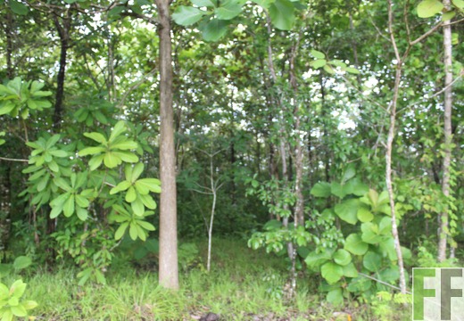 Finca El Espejo 2022