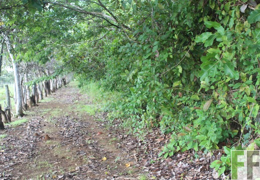 Finca El Espejo 2022