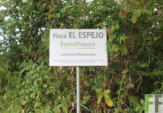 Finca El Espejo 2022