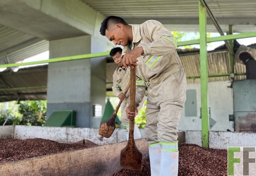 Finca Quebrada Limón