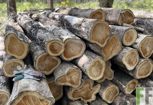 Finca Las Palmeras 2022