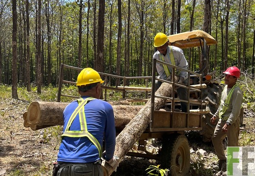 Finca Las Palmeras 2022