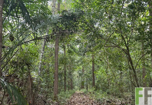 Finca Madera Fina 2022