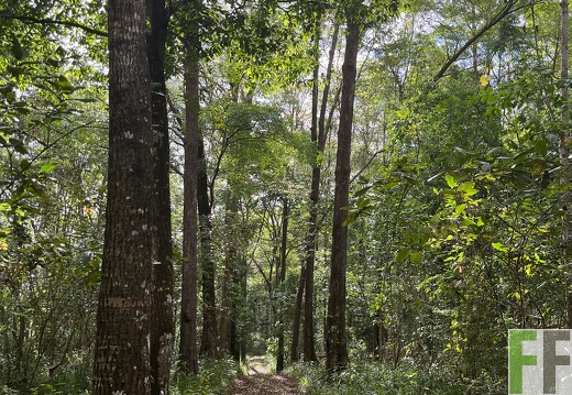 Finca Madera Fina 2022