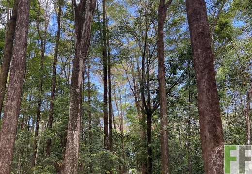 Finca Madera Fina 2022