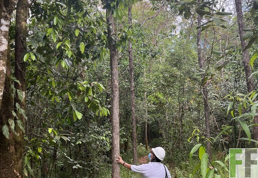 Finca Madera Fina 2022