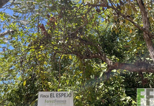 Finca El Espejo 2022