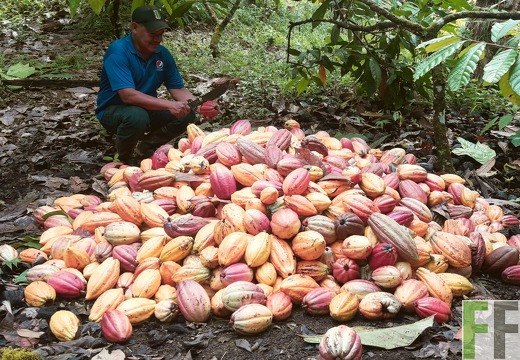 Finca Quebrada Limón