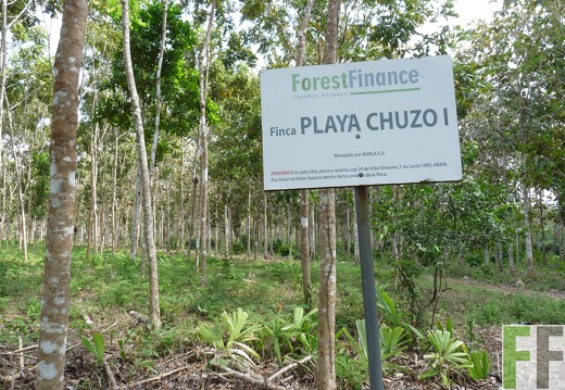 Finca Playa Chuzo