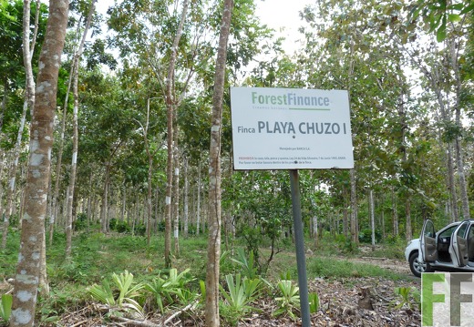 Finca Playa Chuzo