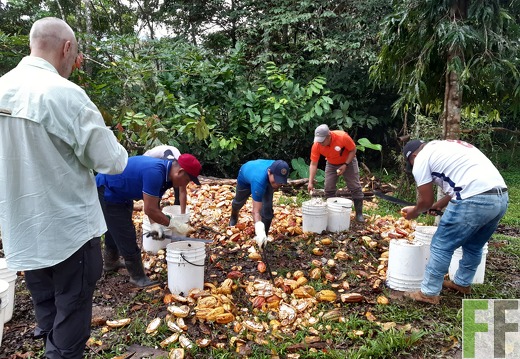 Finca Quebrada Limón