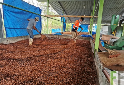 Finca Quebrada Limón