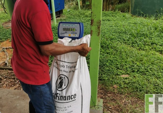 Finca Quebrada Limón