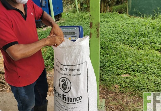 Finca Quebrada Limón