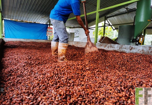 Finca Quebrada Limón