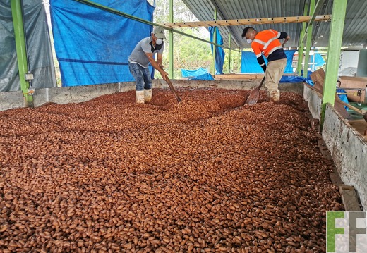 Finca Quebrada Limón