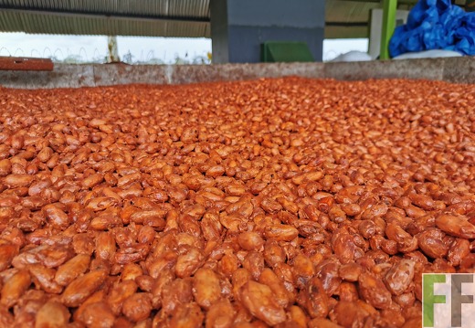 Finca Quebrada Limón