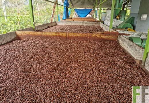 Finca Quebrada Limón