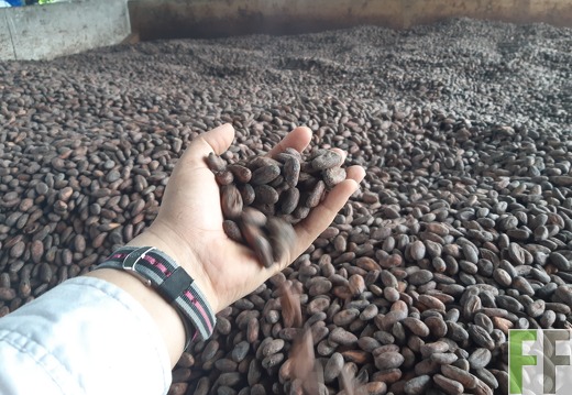 Finca Quebrada Limón