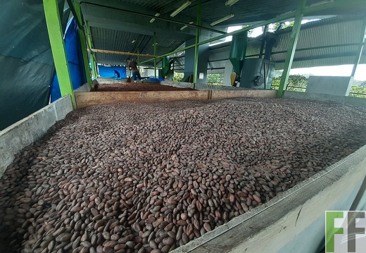 Finca Quebrada Limón