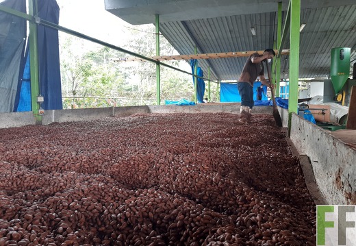 Finca Quebrada Limón