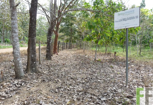 Finca La Relojera III