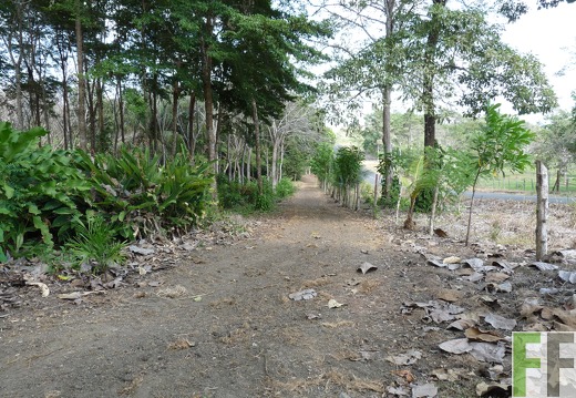 Finca Ojo de Agua I-II