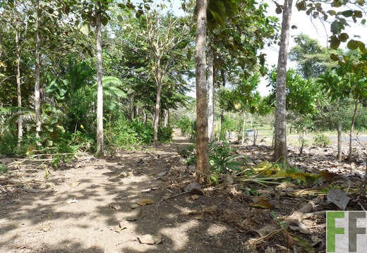 Finca Ojo de Agua I-II