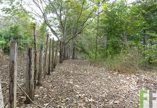 Finca Ojo de Agua I-II