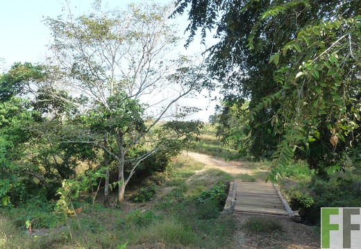 Finca Lara