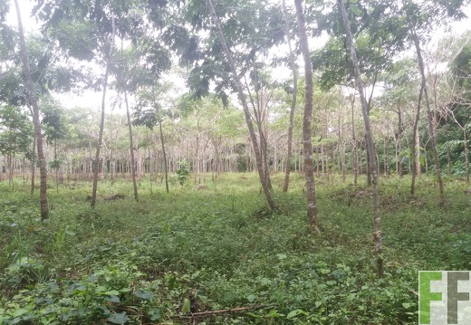 Die Finca Buenos Aires