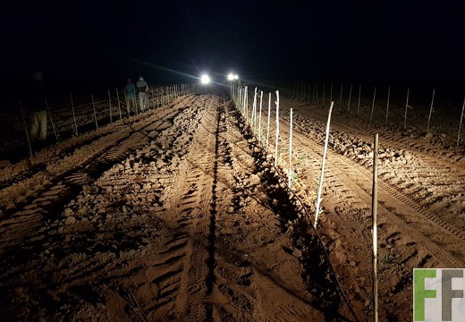 Auch nachts wird gearbeitet