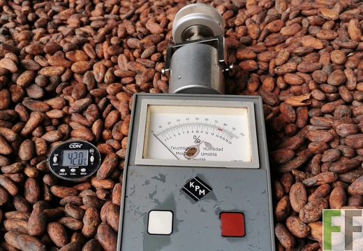 Feuchtigkeitsmessung, Finca Quebrada Limón