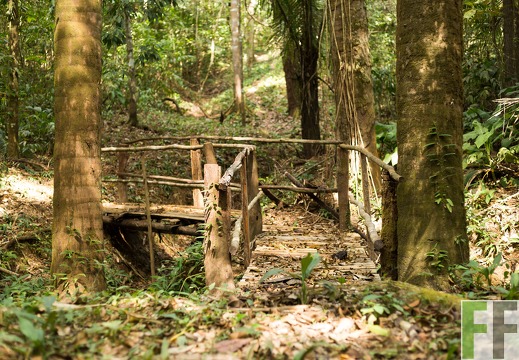 Brücke auf dem Naturlehrpfad
