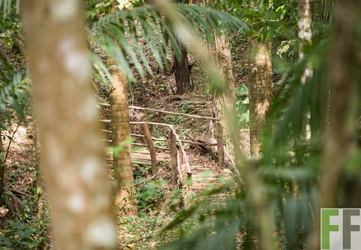 Brücke auf dem Naturlehrpfad
