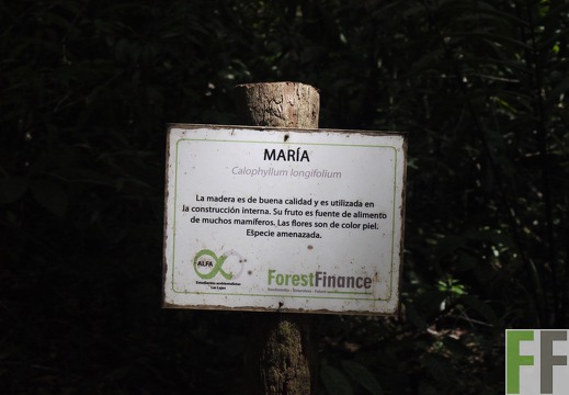 Naturlehrpfad Beschilderung