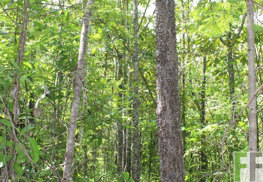 Finca El Catival 2019