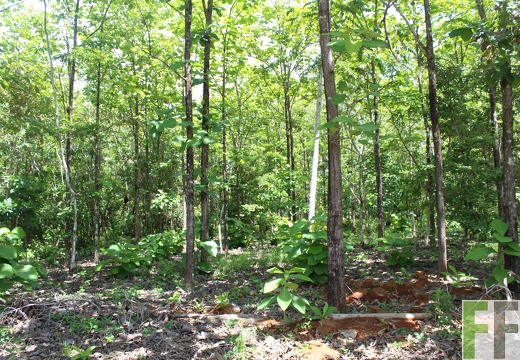 Finca El Espejo 2019