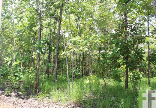 Finca El Espejo 2019