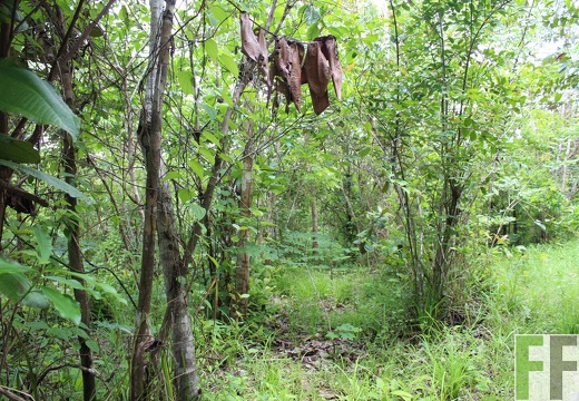 Finca Santa Cruz II 2019