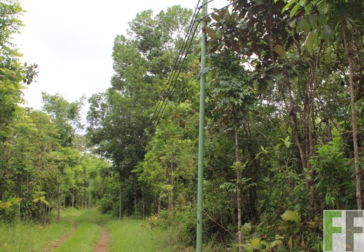 Finca Santa Cruz II 2019