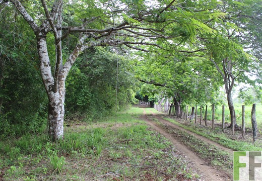 Finca Santa Cruz I 2019