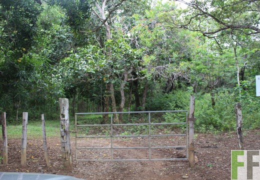 Finca Santa Cruz I 2019