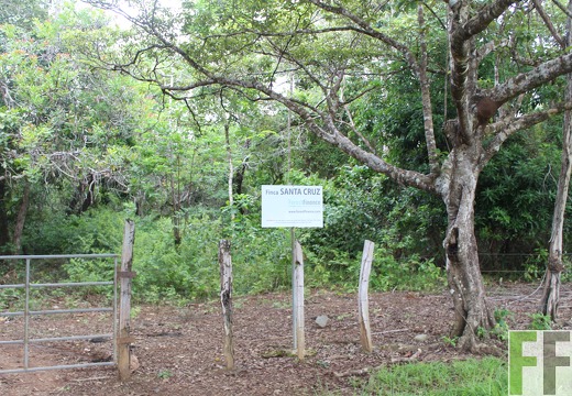 Finca Santa Cruz I 2019