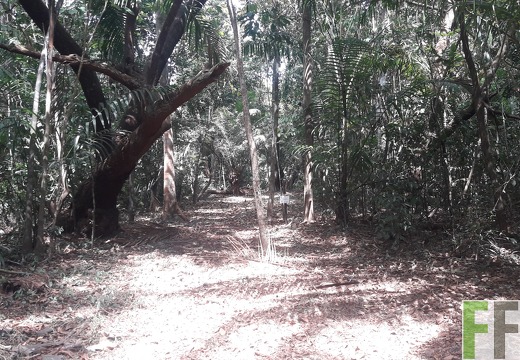 Finca Madera Fina 2019