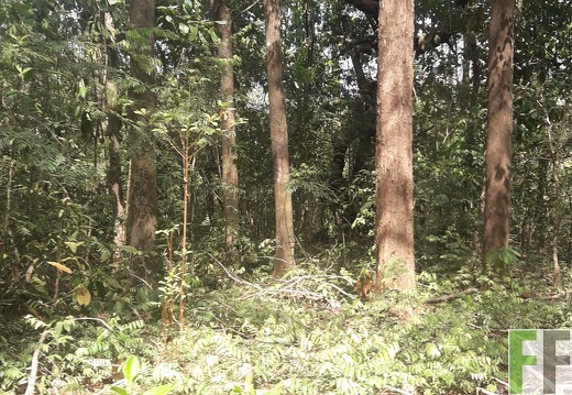 Finca Madera Fina 2019