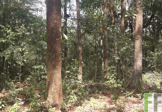 Finca Madera Fina 2019